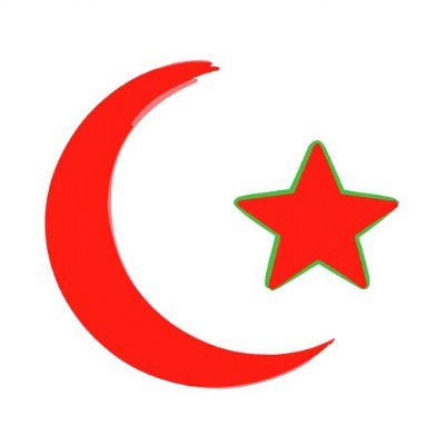 arazsglm's profile picture. 