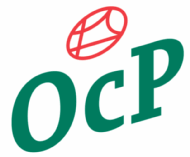 OCP ontwikkelt het nieuwe centrumgebied van Oost-Amsterdam: Wonen, winkelen, leren, werken, dansen, eten, trouwen, drinken...