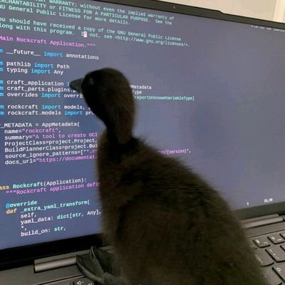 Yousuffv1's profile picture. I called myself a developer 🐸