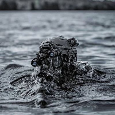 ElvisSavag75141's profile picture. too determined to make it up