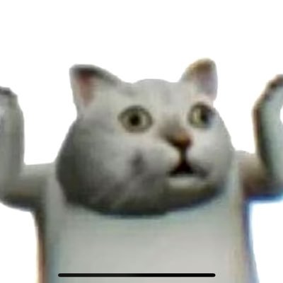 NotNowNotTmrw's profile picture. Соціолог, а ще любитель пташок