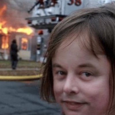 ikigairevival's profile picture. 