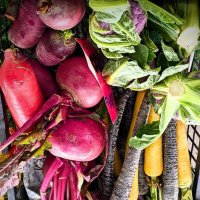 かまくら。 (@kamakura889491) 's Twitter Profile Photo