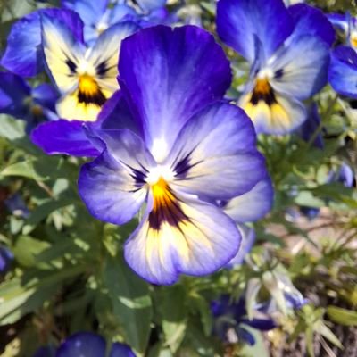 haruka_wsdpse's profile picture. 