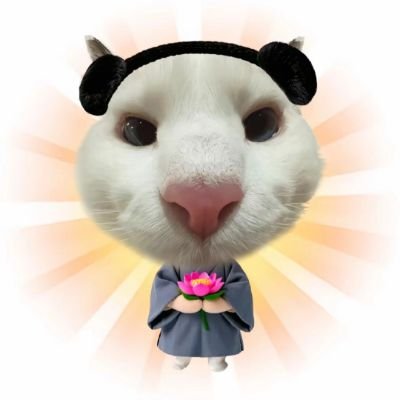 xitphuu's profile picture. RW : #poohtatü