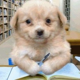 milbbangfan's profile picture. #hyunjae #younghoon #tbz