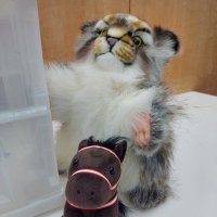 みるお (@game_miluo) 's Twitter Profile Photo