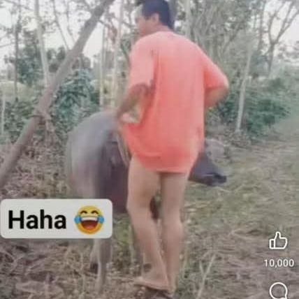 MurachaiPr18037's profile picture. 