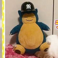 おうやま (@hakuouyama) 's Twitter Profile