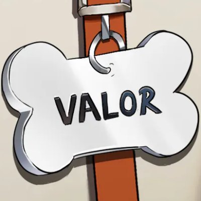 Valor Valeous VT 🐕🦴 (Debut TBD)さんのプロフィール画像