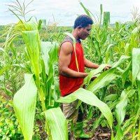 Farmer 🌾 (@___sadat) 's Twitter Profile