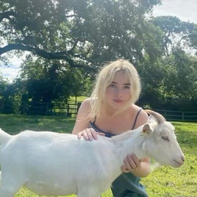 eu nao gosto de uma pa de coisas (pessoas) / vegano / acho q ja faleci internamente
