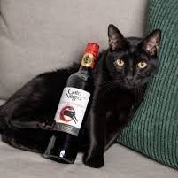 ¡Típico Chileno! 🍷
Cuenta respaldo Black Cat 🐈⬛
El Comunismo es la droga de los idiotas