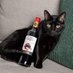 🅶🅰🆃🅾 🅽🅴🅶🆁🅾 🍷🐈⬛ 🇨🇱 (@lobosgps50856) Twitter profile photo 🅶🅰🆃🅾 🅽🅴🅶🆁🅾 🍷🐈⬛ 🇨🇱 (@lobosgps50856) Twitter profile photo