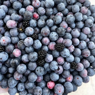 bloomingqueenai's profile picture. Proud Veteran and woman-owned, we’re dedicated to farming the finest blueberries, creating the best homemade and handcrafted goods straight from our farm! 🇺🇸