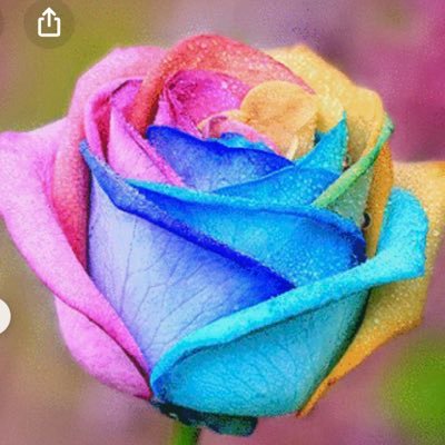 razu2710's profile picture. イルカ🐬やチョコミントが好きです💕💕高橋力也くんを応援してます❤️‍🔥