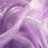 hono_1014_