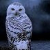 Maria Isabel Catalina (@mariais69620901) Twitter profile photo Maria Isabel Catalina (@mariais69620901) Twitter profile photo
