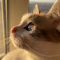 𝙢𝙖𝙚 ⚡ (@babii_eri) 's Twitter Profile Photo