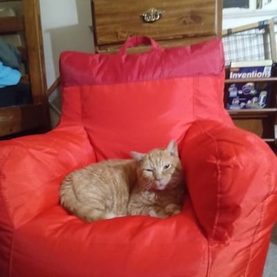 millerthekille6's profile picture. 