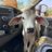 vickysingh576's profile image