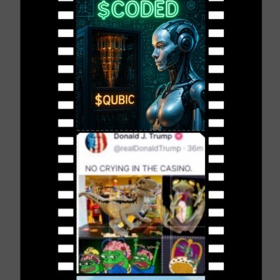 Vxvaldpt's profile picture. Crypto, flights, photography and good conversations 🚀✈️📸💬 Between past and future ••• UYB ••• (Use Your Brain) 🐸 🧠⚡️| meme. ai. energy. |