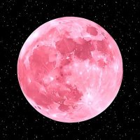 555 (@mvyxi) 's Twitter Profile Photo