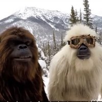 Outdoor_Yeti (@andrewkenn26718) 's Twitter Profile Photo Outdoor_Yeti (@andrewkenn26718) 's Twitter Profile Photo