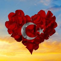 ben türk canım Arap❤️ (@kalbimnasilim) 's Twitter Profile