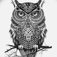 Profesional (@profesi96568648) 's Twitter Profile