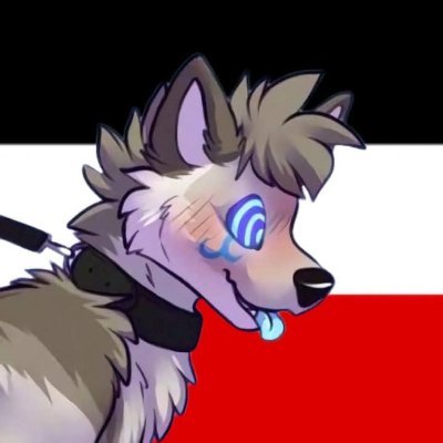 Furry // Male ♂️ // Wolf // 35 // Germany // FCN Owner