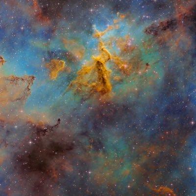 AbbyNorml_'s profile picture. Profile photo by @AJamesMcCarthy