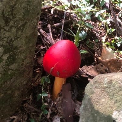 ごみ箱さんのプロフィール画像