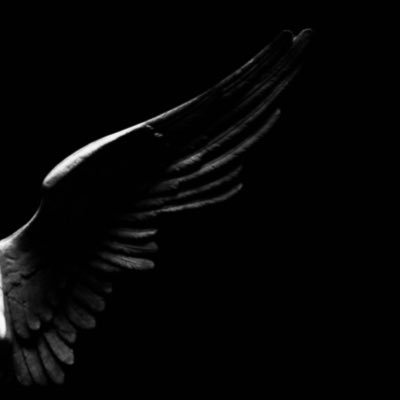 __Fly_'s profile picture. 