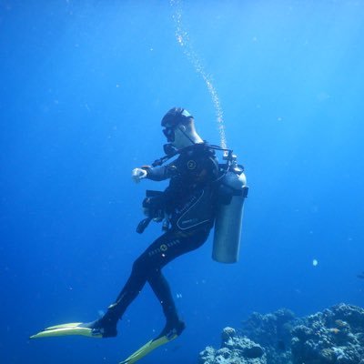 dominic_joehl's profile picture. 