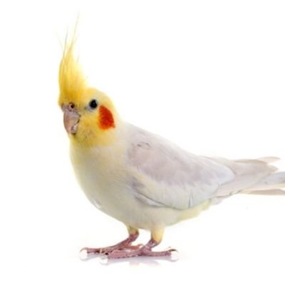 cbh1987's profile picture. im here for a good time,  not a long time