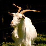 brendan_evers's profile picture. Nothing