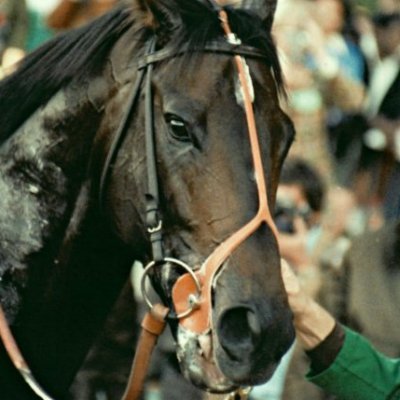 orcaiswhining's profile picture. private venting twitter so i dont annoy people. There will probably be some unhinged moments, be warned. Lots of talk about cancer