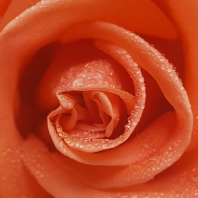 AvaSafran's profile picture. writer
teacher
editor
traveler
learner
#WritingCommunity