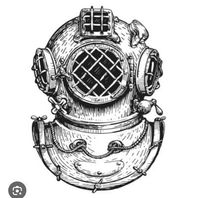 GeecheeSwampFox's profile picture. CHS SC