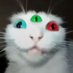 โขโฝ ๐ธ๐๐๐๐๐๐๐๐ โพโข (@m00nblada) Twitter profile photo โขโฝ ๐ธ๐๐๐๐๐๐๐๐ โพโข (@m00nblada) Twitter profile photo