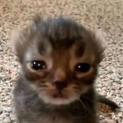 ValouLeVoyou's profile picture. 