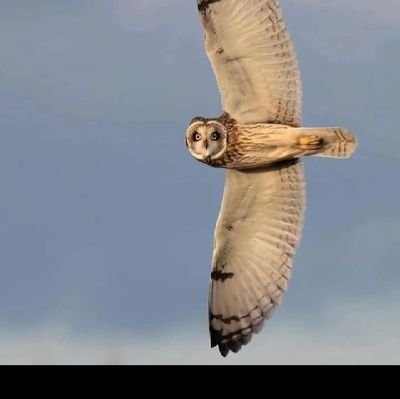 slightyAs's profile picture. 