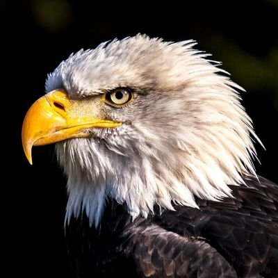 2020Alkasi15051's profile picture. Airdrop hunting,Web 3