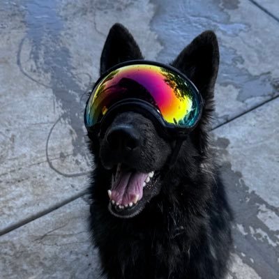 GSD Jäger Profile