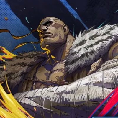 momiji_yuzu0283's profile picture. サガットはサガットです。JPはサガットではありません。