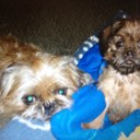 Dan Ekstrom - @Lukona - Twitter