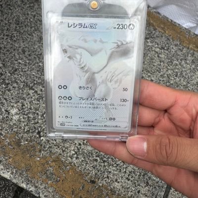 TThieu53940's profile picture. 