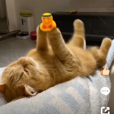 DaleX70786090's profile picture. -