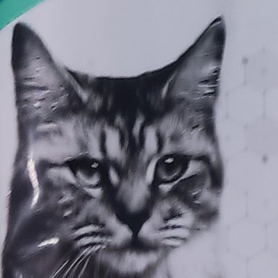 love_celtic35's profile picture. Love gender boys